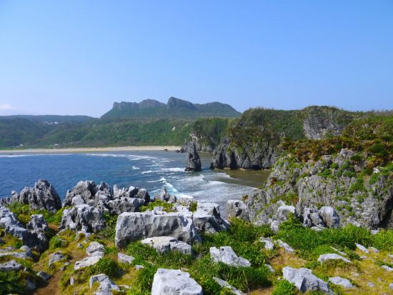 やんばるの森ジオツアー 選べる3コースで島の成り立ちや文化の歴史からやんばる地域について探ろう！ ＜2時間／沖縄本島＞