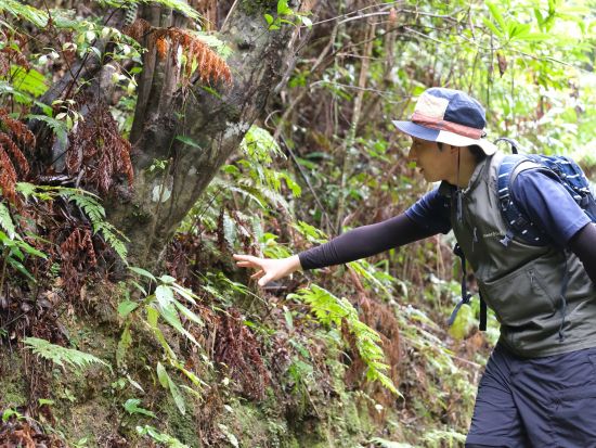 やんばるの森ジオツアー 選べる3コースで島の成り立ちや文化の歴史からやんばる地域について探ろう！ ＜2時間／沖縄本島＞