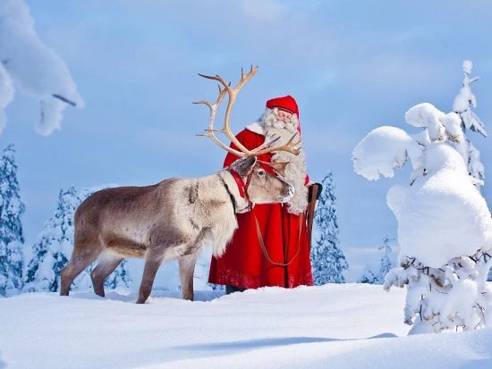 ラップランドで遊ぼう！サンタクロース村と犬ぞり＆トナカイぞり体験 ロヴァニエミのハイライトツアー＜昼食付き／11月～4月／英語＞