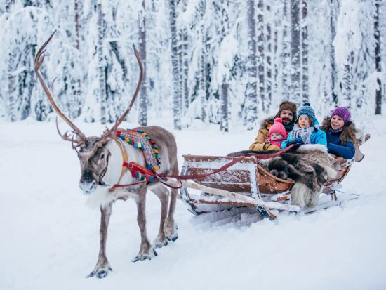ラップランドで遊ぼう！サンタクロース村と犬ぞり＆トナカイぞり体験 ロヴァニエミのハイライトツアー＜昼食付き／11月～4月／英語＞