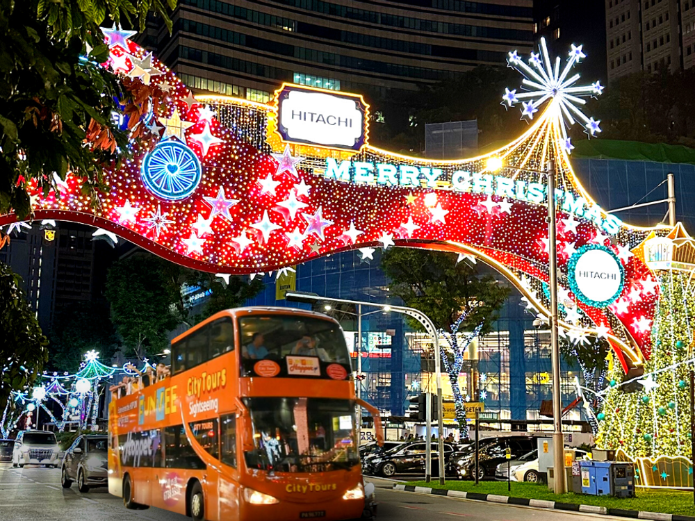 11月8日～1月1日限定】クリスマスライトアップツアー オープントップ