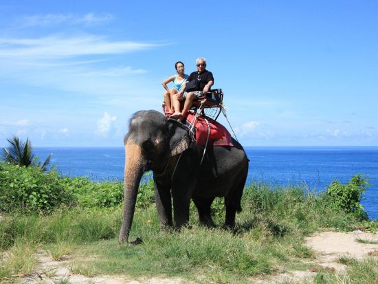 癒しの象乗り☆インスタ写真も撮れる！特典の ”バナナのご褒美” も嬉しい象乗りトレッキング（30分／45分）☆愉快な象使いがご案内！＜ホテル送迎付＞