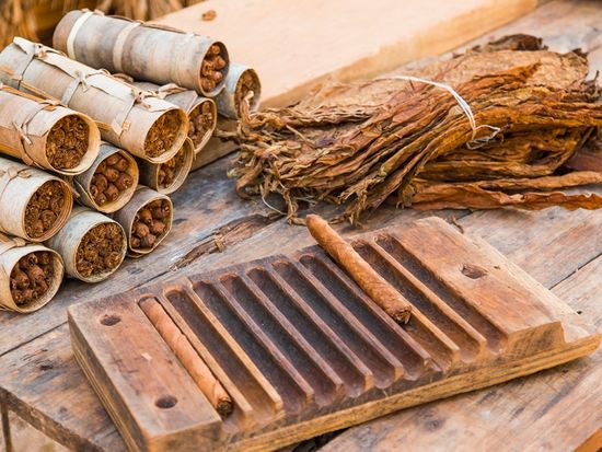 Cuba_Vinales_Valley_Tobacco_shutterstock_532830346