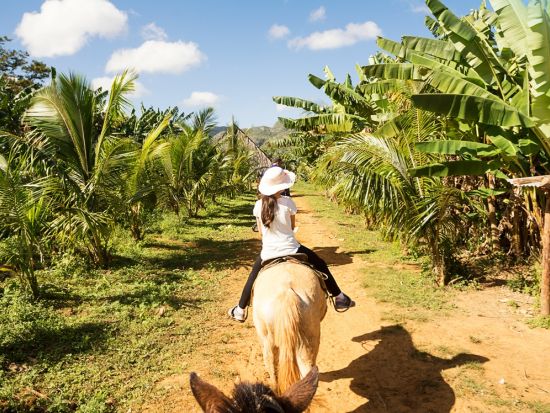 【6泊7日】キューバを満喫！人気観光地周遊ツアー☆ハバナ＋サンタクララ＋トリニダー＋シエンフエゴス＜貸切／日本語ガイド／宿泊付／ホセ・マルティ空港発着＞