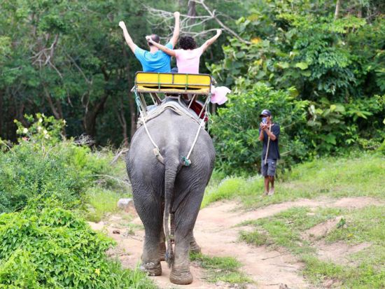ロックビーチスウィング入場　海が見えるフォトジェニックスポットで写真を撮ろう☆象乗りやジップライン付きプランもご用意！＜ホテル送迎付き＞