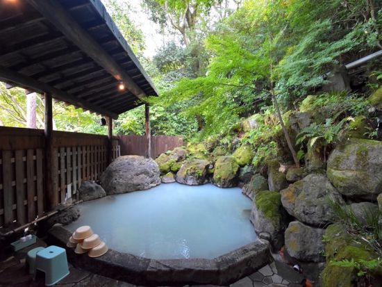 電動バギーで行く別府観光　夢幻の里 春夏秋冬 「ゆのくにクルーザー」に乗って別府DEEP旅　普通免許で運転OK！＜別府市＞by クリオシティおおいた