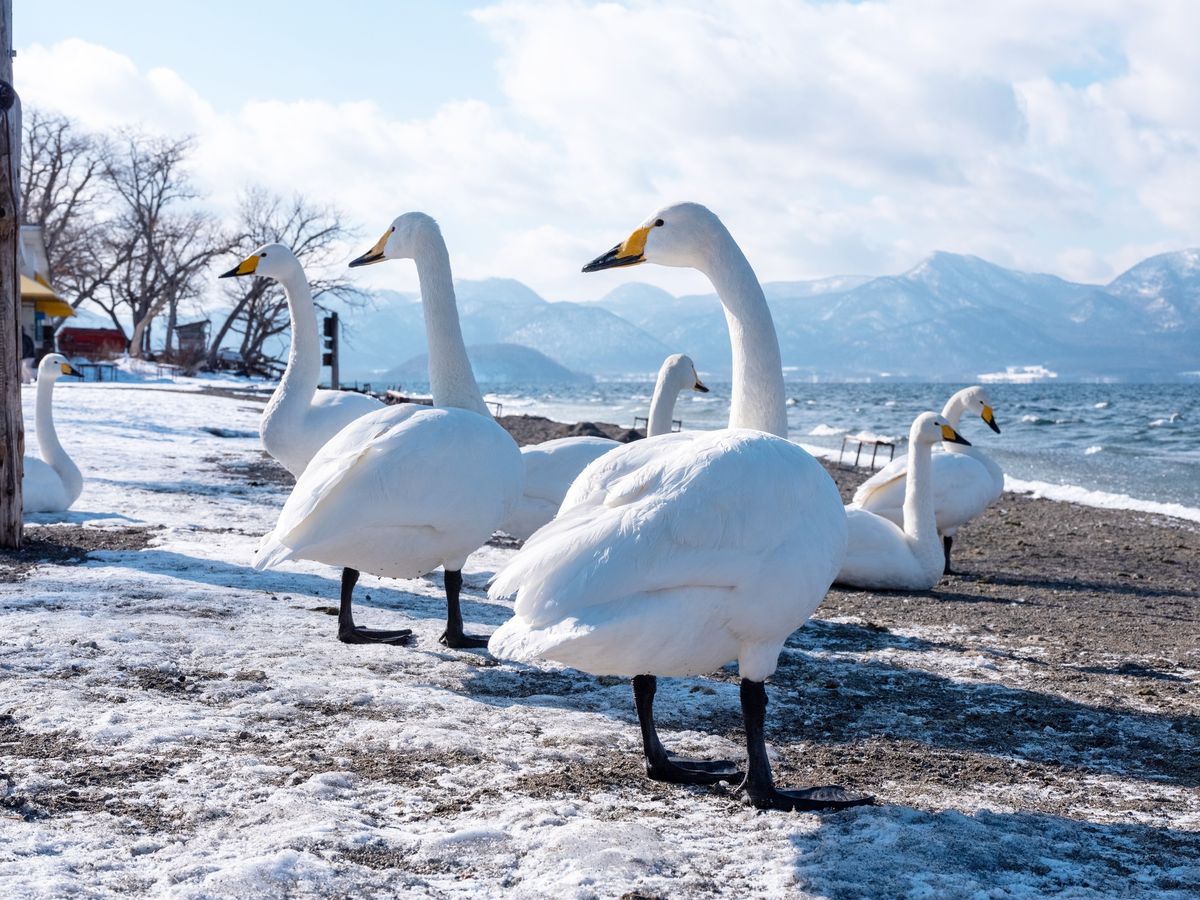 20231017050310_221519389_15163