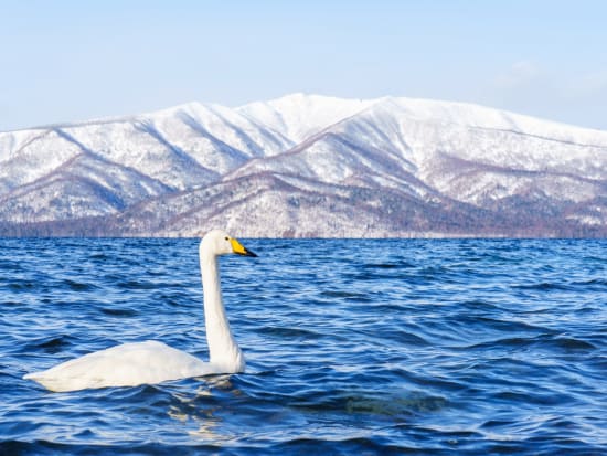 屈斜路湖氷上ウォーキング　凍った湖の上を歩くドキドキ体験！しぶき氷やアイスバブルなど冬だけの体験を満喫＜1月下旬～3月上旬／弟子屈町＞byMatatabi