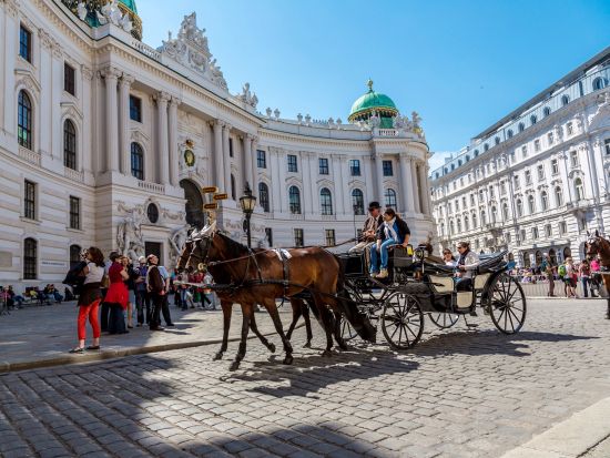 【プライベートツアー】観光馬車フィアカーと徒歩でめぐる ウィーン旧市街 半日貸切観光＜コーヒ又は紅茶付き／午前 or 午後／日本語ガイド＞by H.I.S.