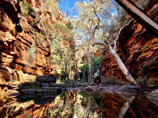 Alligator Gorge Mt Remarkable NP