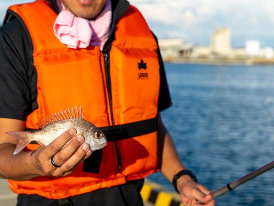 波止釣り体験　手ぶらで参加OK！宇久島の海で魚釣りを楽しもう ＜約1.5時間／宇久島＞ by 宇久町観光協会
