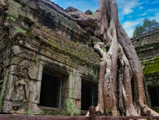 世界遺産アンコールワット1泊2日観光ツアー　アンコール遺跡3か所と伝統舞踊アプサラ鑑賞を楽しむ ＜日本語ガイド／往復航空券付き/バンコク発＞