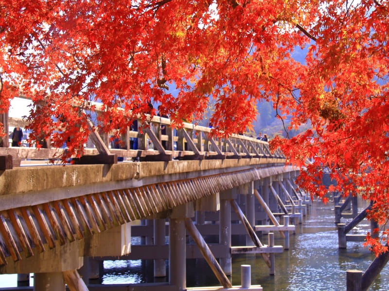 もみじ_渡月橋_嵐山_68513003_M