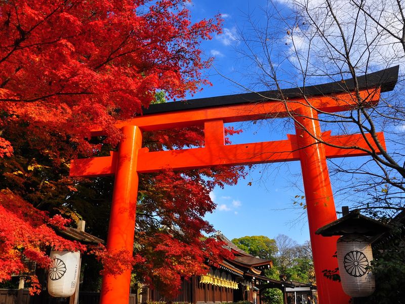 下鴨神社_44240813_M