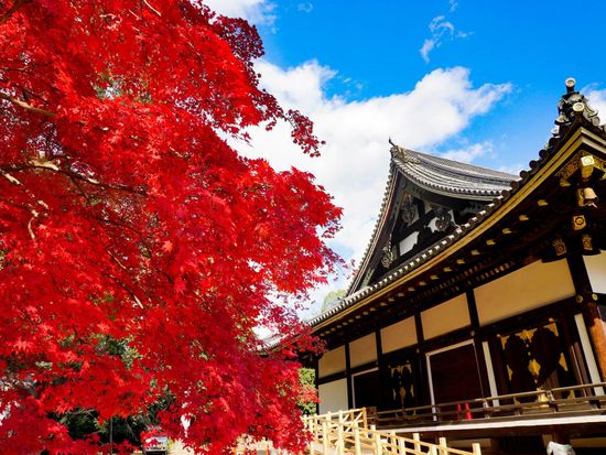 20231019021513_2017285088_15375