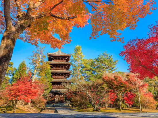 20231019021512_934344439_15375_0