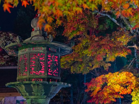 20231019022933_395597300_15375_0