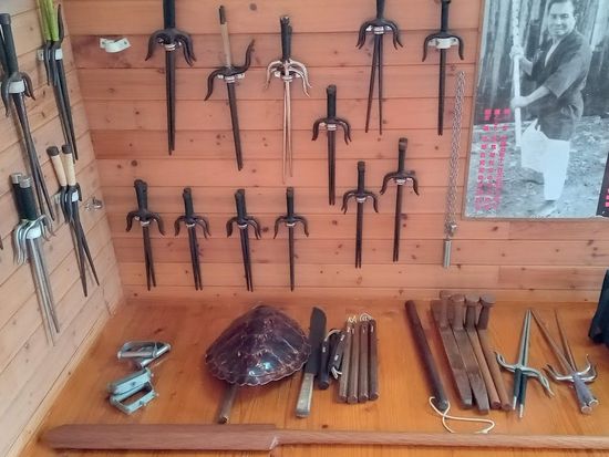 蜷画悽驕灘ｴ230220d