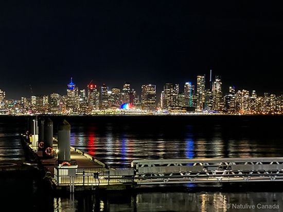 Burrard-Inlet-Night-View-01-600