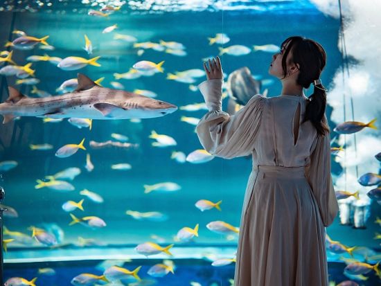 「AQUARIUM×ART átoa（アトア）」入場券 アクアリウムとアートが融合した新感覚の都市型水族館＜神戸市＞
