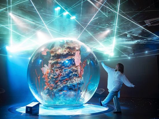 「AQUARIUM×ART átoa（アトア）」入場券 アクアリウムとアートが融合した新感覚の都市型水族館＜神戸市＞