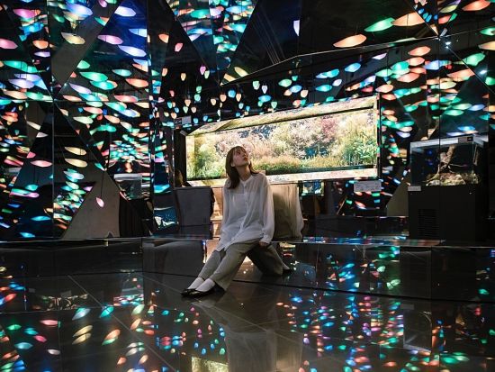 「AQUARIUM×ART átoa（アトア）」入場券 アクアリウムとアートが融合した新感覚の都市型水族館＜神戸市＞