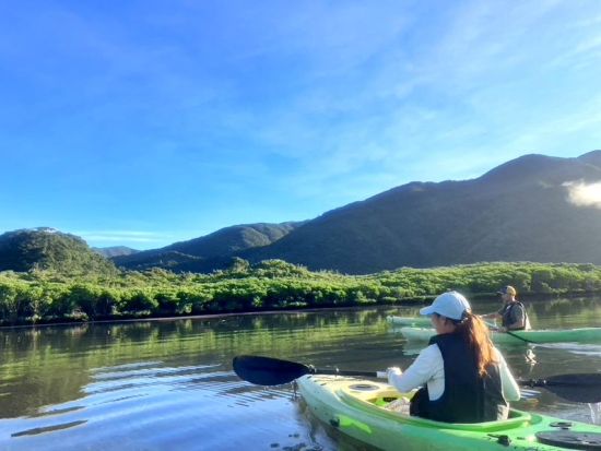早朝マングローブカヤック体験　認定ガイドSeiyaさんがご案内　混雑しない朝にマングローブ林を満喫 朝食付き＜島内全域ホテル送迎有＞ byリンクアドベンチャーズ