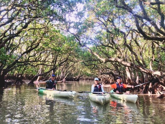 早朝マングローブカヤック体験　認定ガイドSeiyaさんがご案内　混雑しない朝にマングローブ林を満喫 朝食付き＜島内全域ホテル送迎有＞ byリンクアドベンチャーズ