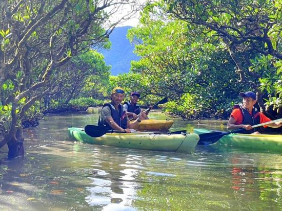 早朝マングローブカヤック体験　認定ガイドSeiyaさんがご案内　混雑しない朝にマングローブ林を満喫 朝食付き＜島内全域ホテル送迎有＞ byリンクアドベンチャーズ
