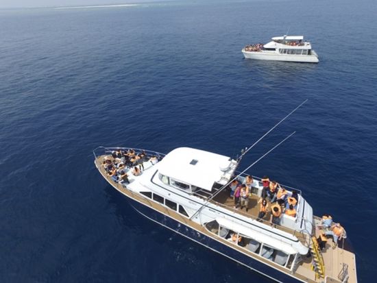 プライベートチャータークルーズ 家族や仲間たちと贅沢な時間を過ごす 最大50名まで乗船可能！チャータークルーズで優雅な沖縄旅＜半日／１日／那覇＞