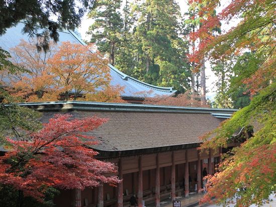 延暦寺の根本中堂・回廊と紅葉