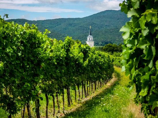 ウィーン郊外ワイナリー訪問＆バーデン市内散策 午後の半日観光ツアー＜日本語／試飲・軽食付／ウィーン発＞by H.I.S.