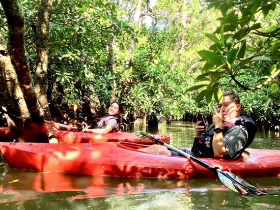 【貸切】マングローブカヤック体験　認定ガイドがご案内するマングローブ林の冒険！島内全域ホテル送迎可能 ＜約2時間＞ by リンクアドベンチャーズ
