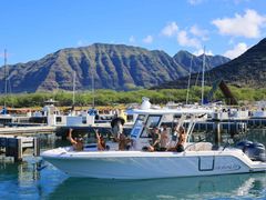 alohaocean37