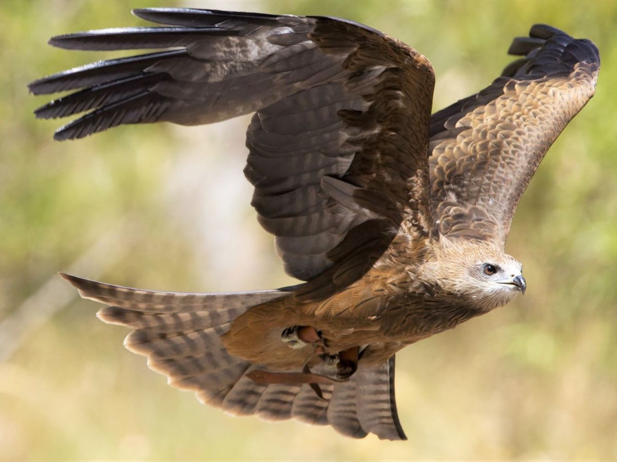 20231024072630_29814823_16692_