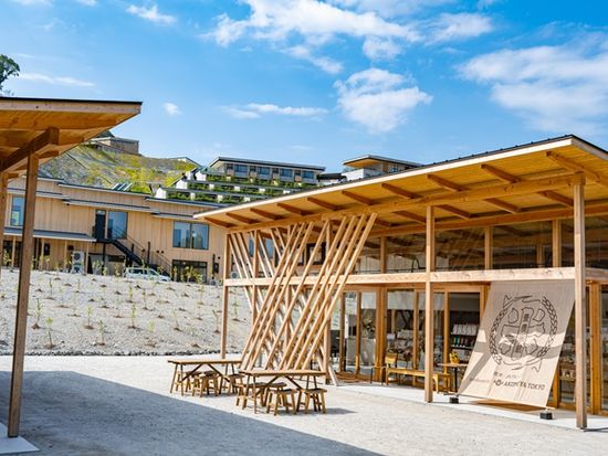 晴れの日の朝のVISON (2)