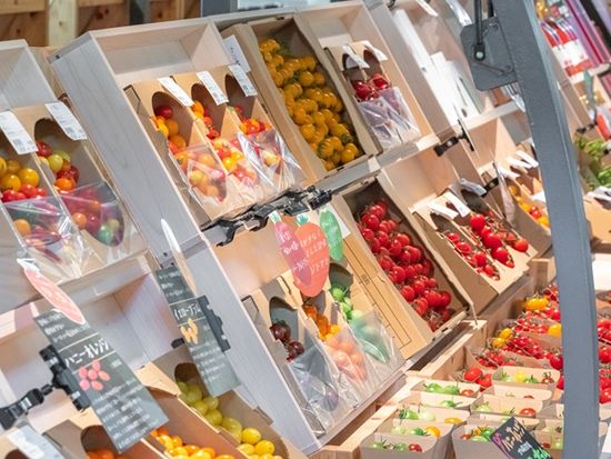 色とりどりのトマト