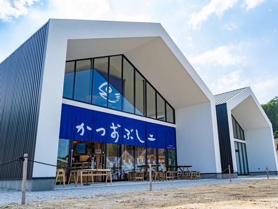 晴れの日の朝のVISON