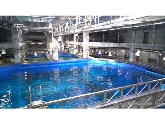 沖縄美ら海水族館黒潮探検_