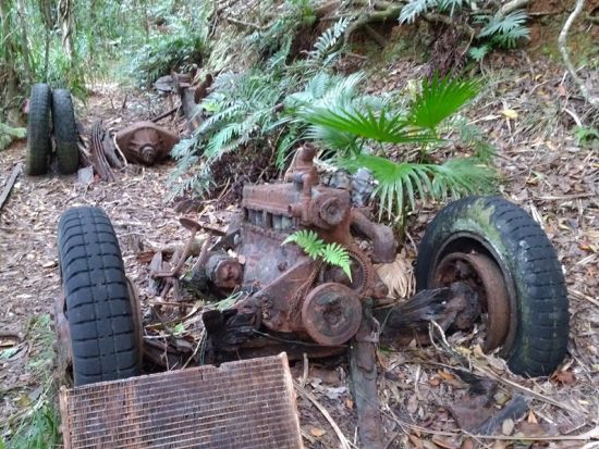 出港日限定 父島最終日におすすめ！おがさわら丸に間に合う早朝ハートロックツアー父島の絶景と自然を満喫！＜送迎付／小笠原諸島・父島＞by小笠原ボニネンシストラベル
