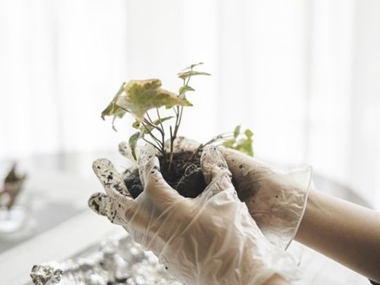 苔玉作り体験 京都らしい組み紐を使った「生命花手毬」を製作＜午前 or 午後／京都市＞by 花工房