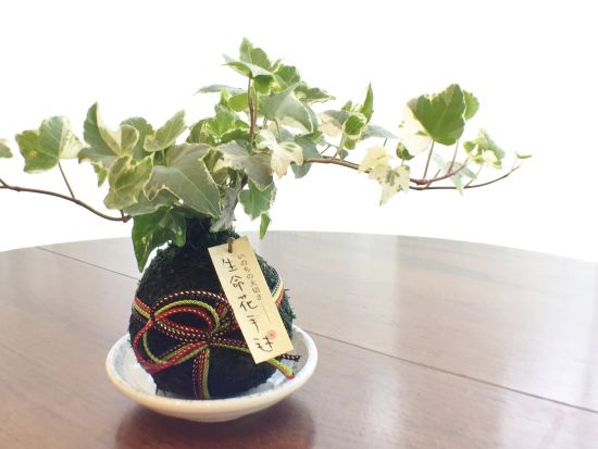 苔玉作り体験 京都らしい組み紐を使った「生命花手毬」を製作＜午前 or 午後／京都市＞by 花工房