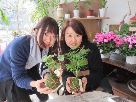 苔玉作り体験 京都らしい組み紐を使った「生命花手毬」を製作＜午前 or 午後／京都市＞by 花工房