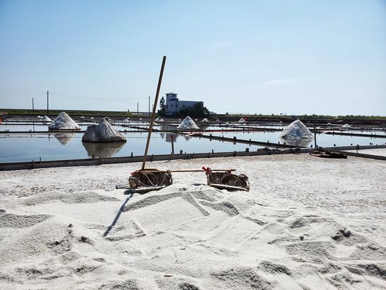 200009240_base_15725059173923