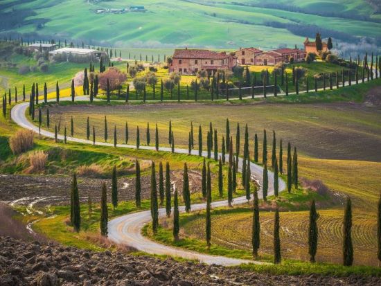 トスカーナ州　モンタルチーノとモンテプルチアーノのワイナリー訪問＆ピエンツァ ＜試飲付き＞