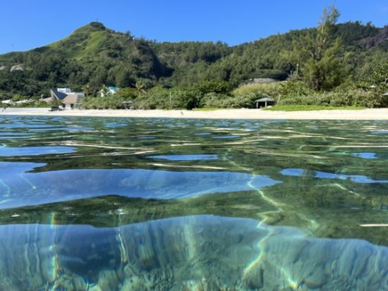 父島 島内観光チャーター1日 展望台からの絶景や自然をご家族やご友人同士で満喫！＜1日／父島内送迎付／小笠原諸島・父島発＞by 小笠原ボニネンシストラベル