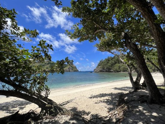 父島 島内観光チャーター1日 展望台からの絶景や自然をご家族やご友人同士で満喫！＜1日／父島内送迎付／小笠原諸島・父島発＞by 小笠原ボニネンシストラベル