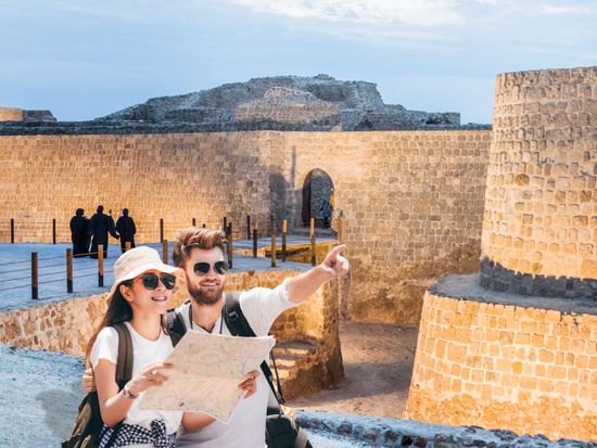 shutterstock_12176    96533