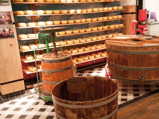 AdobeStock_136827480