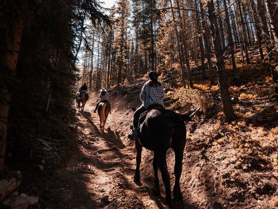 colin-lloyd-p9MBJMACN5g-unsplash